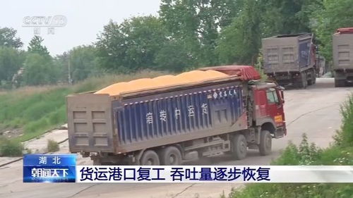 湖北貨運港口復(fù)工 吞吐量逐步恢復(fù)疫前水平