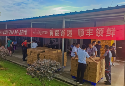 滿載感恩而來,順豐速運“投桃報你”致敬最美逆行者