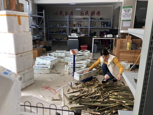 湖北房縣 強化為農(nóng)服務 助力鄉(xiāng)村振興