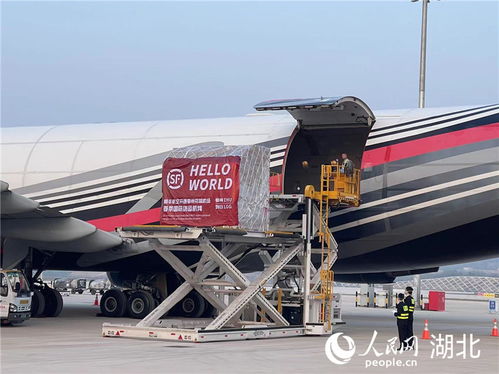 湖北打造國際一流航空貨運樞紐 加快建設內陸自由貿易港