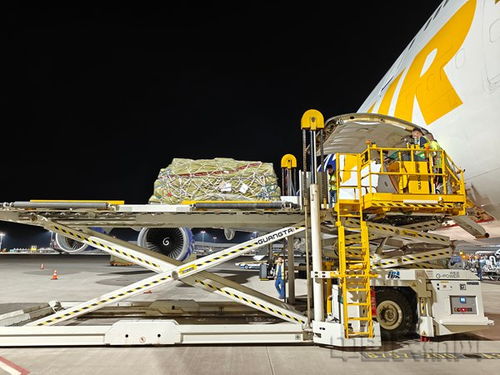 湖北機(jī)場航空物流公司鄂州子公司 共筑武鄂雙樞紐 前路漫漫亦燦燦