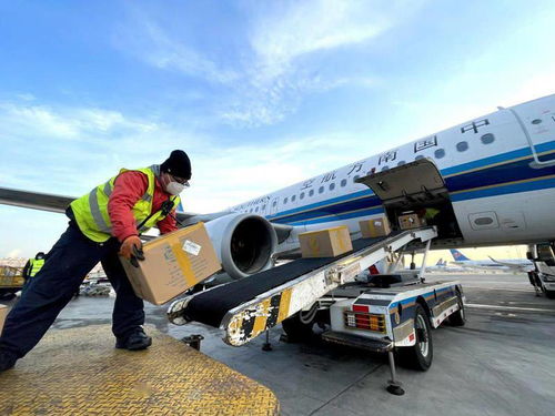 美食年貨空運走旺 南航物流守護各地特色美食 天上飛