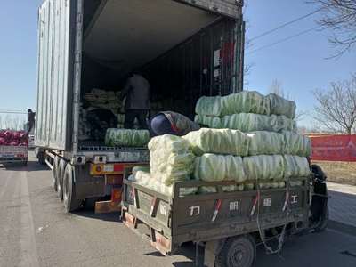 我區(qū)又有27.1噸新鮮蔬菜運往湖北
