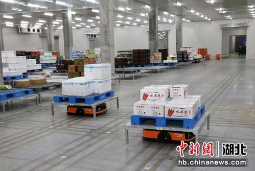 中新網(wǎng)湖北 實探湖北襄陽一生鮮物流中心 機器人助力分揀