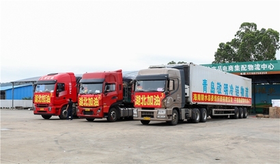 涓涓愛心匯聚起戰(zhàn)“疫”力量 陵水“候鳥”捐贈(zèng)瓜菜馳援湖北天門