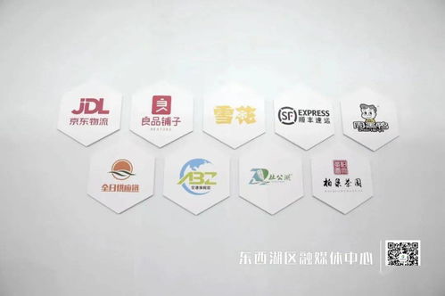 臨空港9家企業(yè)亮相武漢電博會(huì)
